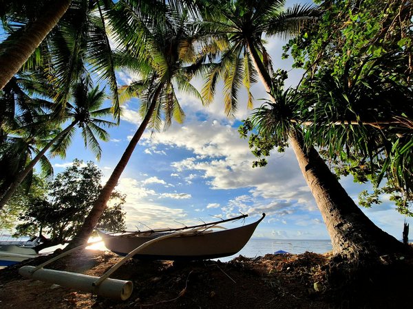 Explorez l'Afrique : Optez pour un circuit astucieux et abordable !